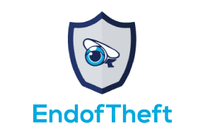 Professional Camera Monitoring