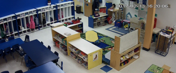 Security Cameras for Visitor Monitoring