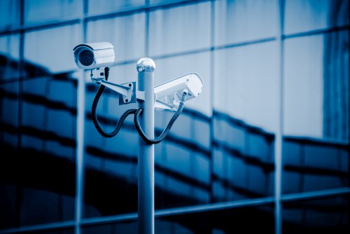 Visible Security Cameras